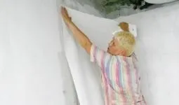 Бамбукові шпалери (бамбукові) бамбукові шпалери