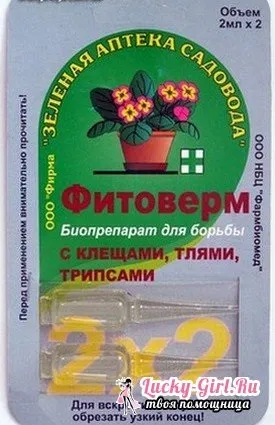 Фитоверм для кімнатних рослин інструкція по використанню (використання) Фитоверм для кімнатних рослин інструкція по використанню