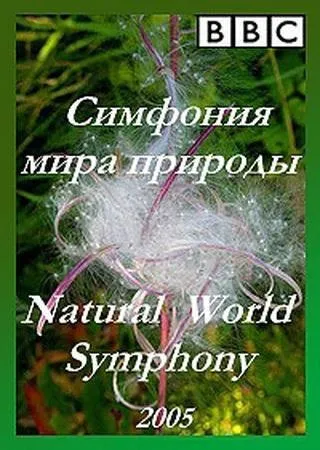 фільм bbc