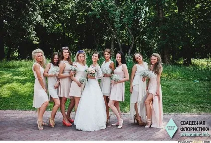 Флористи про квіти універсальна гипсофила