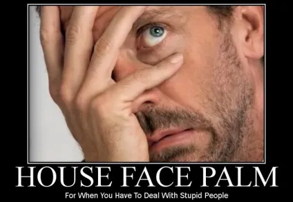 Фейспалм (facepalm)