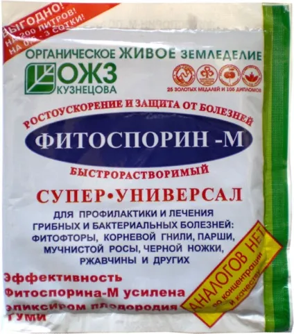 Фітофтора на помідорах ніж обробляти, способи лікування, перевірені методи боротьби і профілактики (помідорах) Фітофтора на помідорах ніж обробляти, способи лікування, перевірені методи боротьби і профілактики