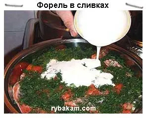 Форель в вершках