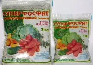 Фосфорні добрива - для швидкого росту і дозрівання відео (правильно застосовувати фосфорні добрива) Фосфорні добрива - для швидкого росту і дозрівання відео