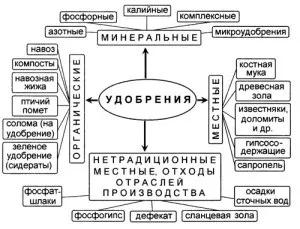 Фосфорно-калійні добрива - навесні і влітку для підживлення відео (добрива) Фосфорно-калійні добрива - навесні і влітку для підживлення відео