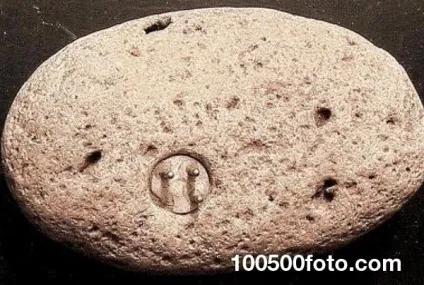 Фотографії з доказами існування позаземного життя і нло (життя) Фотографії з доказами існування позаземного життя і нло