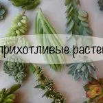 Функціональна і красива пральня кімната (пральня) Функціональна і красива пральня кімната