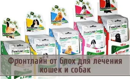 Фронтлайн від бліх для лікування кішок і собак (бліх) Фронтлайн від бліх для лікування кішок і собак