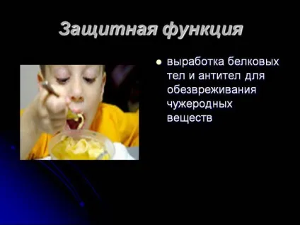 Функції білків в клітині, біологія (шпаргалка) Функції білків в клітині, біологія