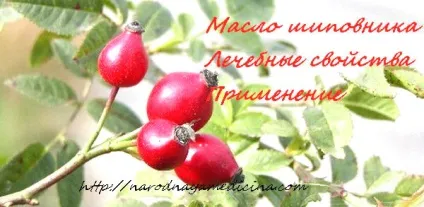 Масло шипшини