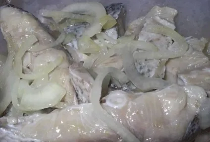 Маринований товстолобик в домашніх умовах рецепти з фото і відео (музика) Маринований товстолобик в домашніх умовах рецепти з фото і відео