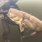 Гарпун своїми рукам - підводне полювання своїми руками - все сам (рук) Гарпун своїми рукам - підводне полювання своїми руками - все сам