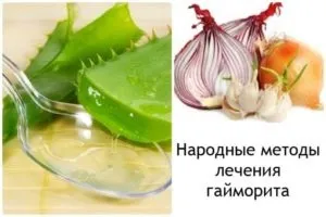 Гайморит, симптоми і лікування у дорослих різними методами (лікування) Гайморит, симптоми і лікування у дорослих різними методами