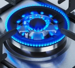 Газова плита або панель - що краще (плита) Газова плита або панель - що краще