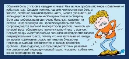 Гази в животі