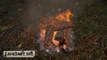 Гайд як добути вогонь в dayz standalone (добути) Гайд як добути вогонь в dayz standalone