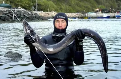 Гарпун для підводного полювання своїми руками