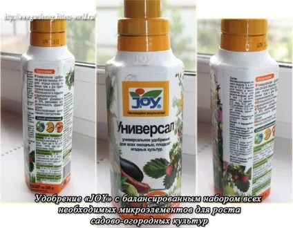 Gardening, чому на листках огірків жовта облямівка (gardening) Gardening, чому на листках огірків жовта облямівка