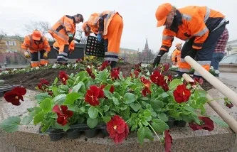 Генеральне прибирання як проходять суботники в москві (комунальне господарство) Генеральне прибирання як проходять суботники в москві