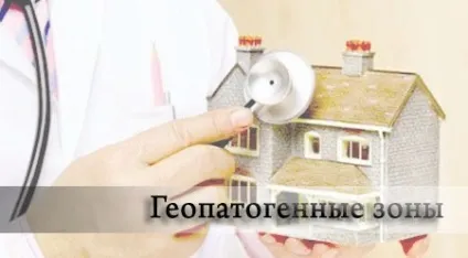 Геопатогенні зони в квартирі 1 (геопатогенная зона Тест) Геопатогенні зони в квартирі 1