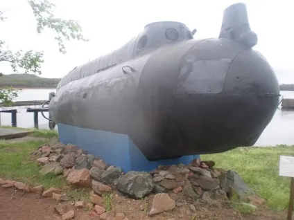 Десь в нетрях про