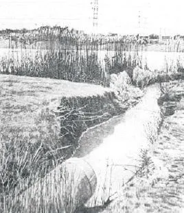 Головні забруднювачі води (води) Головні забруднювачі води