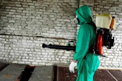 Гістомонозу індичок лікування, симптоми і профілактика (індичок) Гістомонозу індичок лікування, симптоми і профілактика