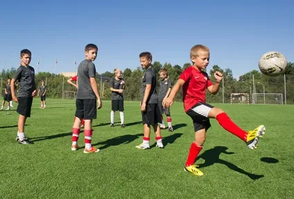 Головні підсумки чемпіонату європи з футболу футбол спорт (спорт) Головні підсумки чемпіонату європи з футболу футбол спорт