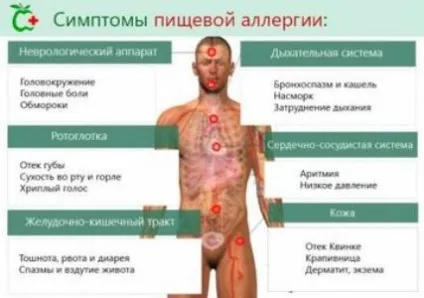 Гіпоалергенні продукти список самих гіпоалергенних продуктів для дорослих і дітей (гіпоалергенних) Гіпоалергенні продукти список самих гіпоалергенних продуктів для дорослих і дітей