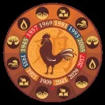 Рік змії характеристика і сумісність (будуть ділові відносини) Рік змії характеристика і сумісність