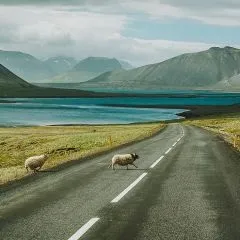 гірські краєвиди