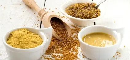 Гірчиця користь і шкода для організму їдальнею, діжонськой (французької) та інших видів (гірчиця в зернах корисні властивості) Гірчиця користь і шкода для організму їдальнею, діжонськой (французької) та інших видів