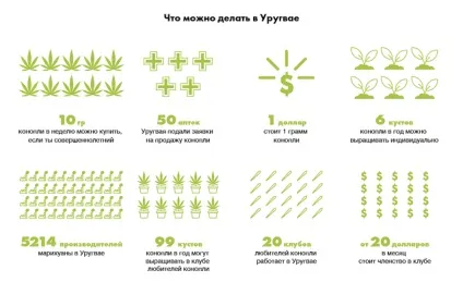 Глобус з трави список країн з легальної марихуаною - олександр бакланів - як жити - матеріали (країн) Глобус з трави список країн з легальної марихуаною - олександр бакланів - як жити - матеріали