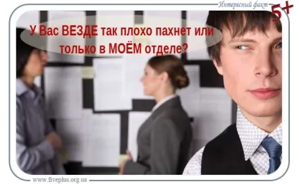 Дурні фрази, цікавий факт (факти в картинках) Дурні фрази, цікавий факт