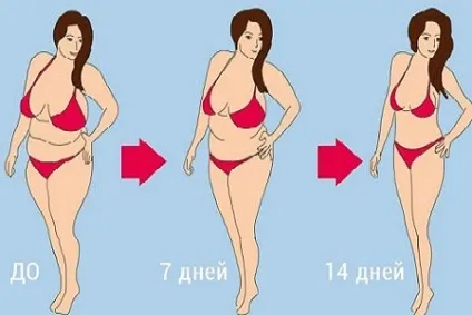 Гормональна дієта для схуднення меню, фази, підрахунок балів, відгуки, результати (дієта) Гормональна дієта для схуднення меню, фази, підрахунок балів, відгуки, результати