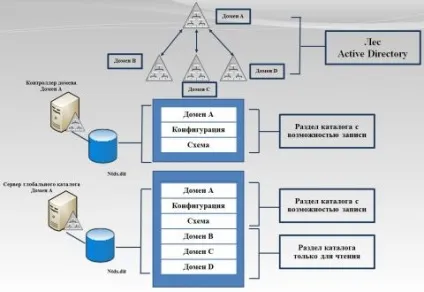 Глобальний каталог active directory, замітки системного адміністратора