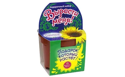 Горщик - вирости мене !, соняшник (мене) Горщик - вирости мене !, соняшник