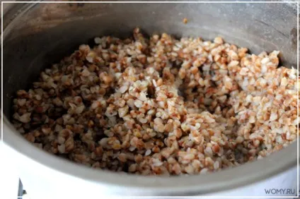 Гречана каша з підливою з курячого філе (підливою) Гречана каша з підливою з курячого філе
