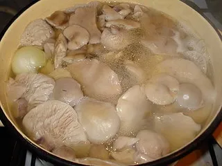 Гриби сіненожкі, фото, скільки варити