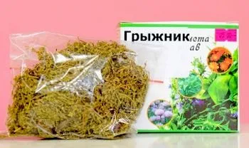 Грижнік - трава в рецептах народної медицини (застосування засобів основі) Грижнік - трава в рецептах народної медицини