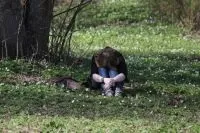 І це пройде ... »психолог про те, як морально підготувати дитину до ЄДІ, освіта, суспільство, АіФ