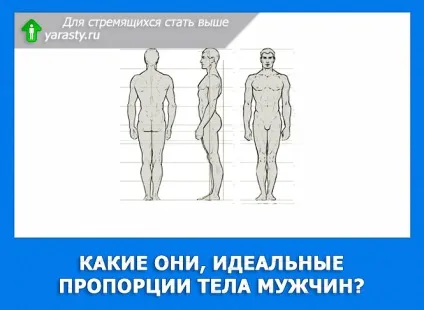 Ідеальне чоловіче тіло