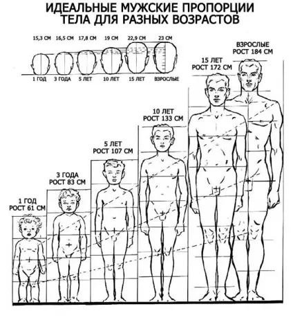 Ідеальне чоловіче тіло