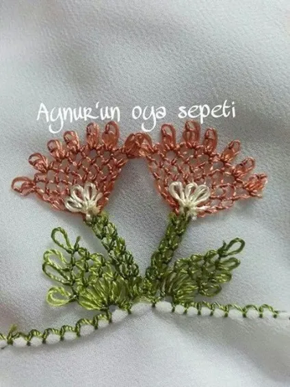 Вушко мереживо Ойя