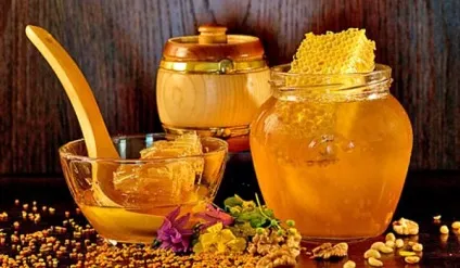 Інфекційний бронхіт симптоми, лікування і класифікація (бронхіт захворювання яке) Інфекційний бронхіт симптоми, лікування і класифікація