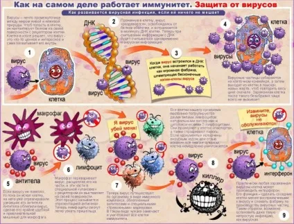 імунітет жінки