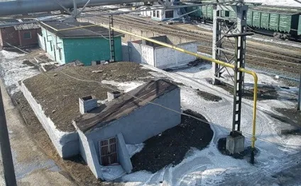 Інструкція до пошуку притулків го