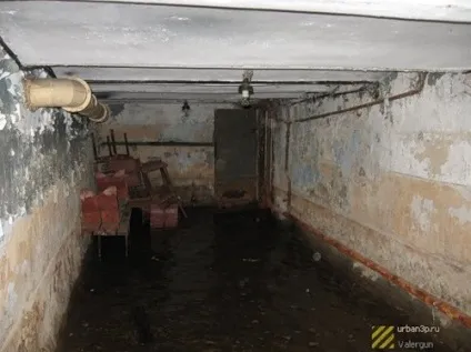 Інструкція до пошуку притулків го