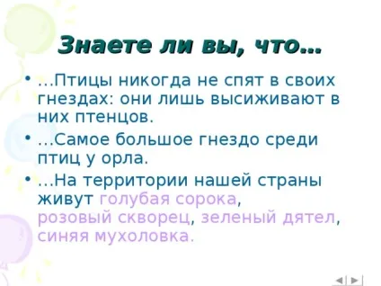 Інтерактивна вікторина - що це за птах позаурочна робота, презентації (позаурочна робота презентації інтерактивна вікторина & quot; що це за птах? & Quot;) Інтерактивна вікторина - що це за птах позаурочна робота, презентації