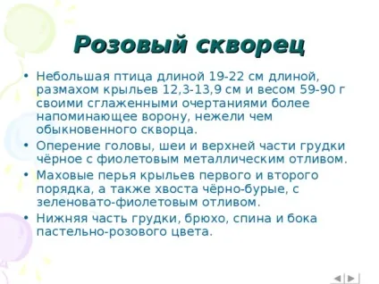 Інтерактивна вікторина - що це за птах позаурочна робота, презентації (вікторина) Інтерактивна вікторина - що це за птах позаурочна робота, презентації